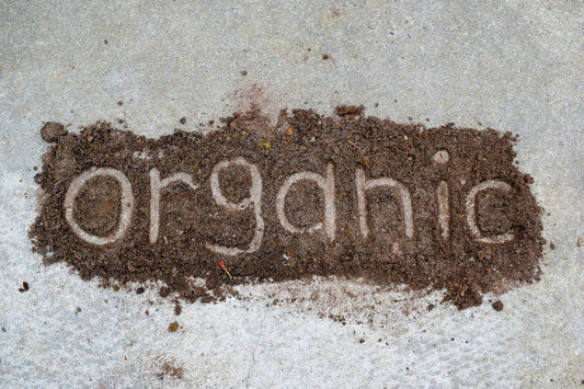 Organic vs. Conventional Baby Products: What’s Best?
