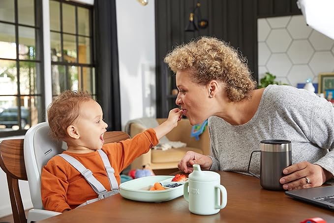 NUK Silicone Baby Suction Bowls, Suction Feature Helps Reduce Spills, Microwave & Dishwasher Safe, BPA-Free, Pack of 2