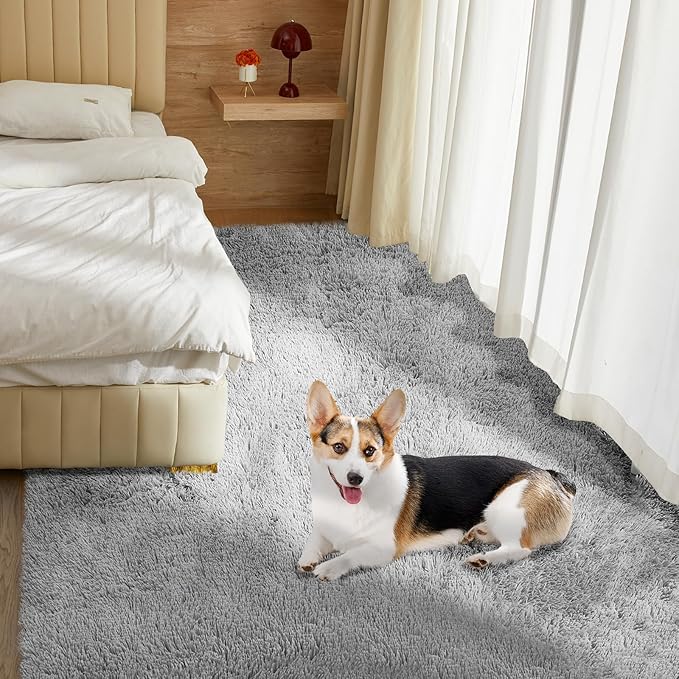 Rugs for Living Room 6x9 Light Grey, Large Big Fluffy Shag Fuzzy Plush Soft Carpet for Bedroom, Kids Home Decor Aesthetic, Nursery, Modern Shaggy Area Rug for Classroom Office, Anti-Skid